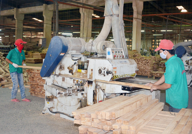 Ảnh 2 : Công ty TNHH MTV Việt Trung tái cơ cấu xí nghiệp gỗ Phú Quý.