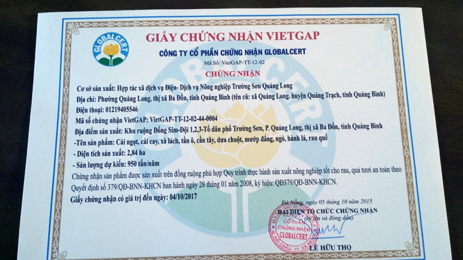 Sản phẩm rau của HTX Dịch vụ điện -Dịch vụ nông nghiệp Trường Sơn, phường Quảng Long đã được chứng nhận RAT theo tiêu chuẩn VietGAP.
