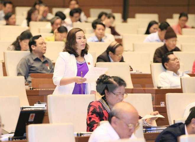Đại biểu Quốc hội tỉnh Lào Cai Lù Thị Lừu phát biểu ý kiến. (Ảnh: Doãn Tấn/TTXVN)