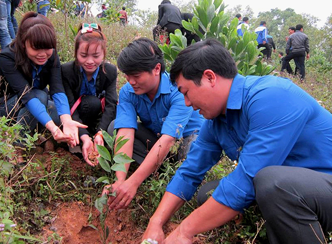 Hưởng ứng Tháng Thanh niên năm 2016, đoàn viên thanh niên trong toàn tỉnh đồng loạt ra quân trồng cây xanh, bảo vệ môi trường.