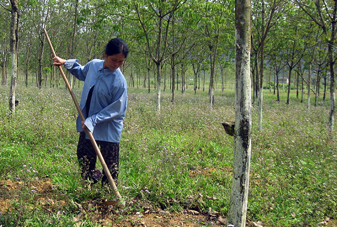 Thực hiện phong trào “Dân vận khéo” nông dân Minh Hóa thi đua lao động sản xuất.