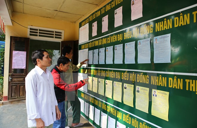 Cử tri huyện Hương Trà, Thừa Thiên-Huế tìm hiểu các ứng cử viên tại một điểm niêm yết công khai. (Ảnh: Hồ Cầu/TTXVN)