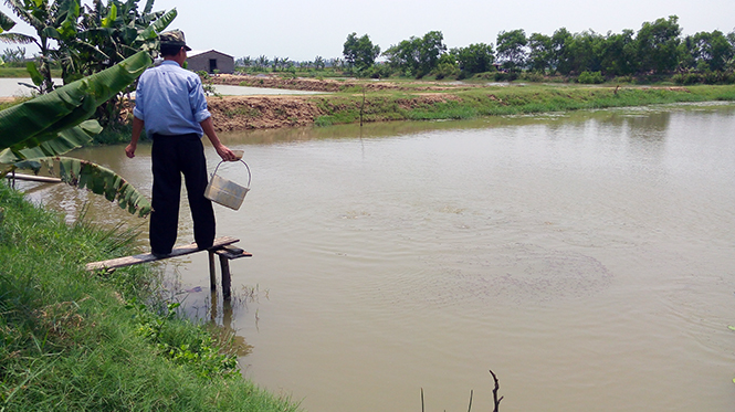 Trang trại anh Dương Văn An và hàng chục trang trại ở Đồng Trạch hiện chưa được cấp giấy chứng nhận quyền sử dụng đất.