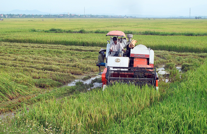Cơ giới hóa sản xuất nông nghiệp góp phần nâng cao năng suất cho bà con nông dân Quảng Trạch.