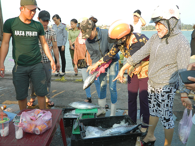 Người tiêu dùng mua hải sản tại điểm bán cá sạch, thành phố Đồng Hới
