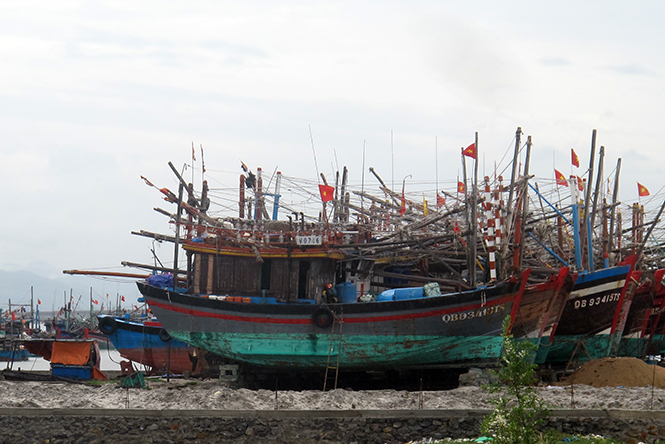 Hiện trong thôn Thuận Hòa đã có 25 tàu đánh bắt xa bờ.