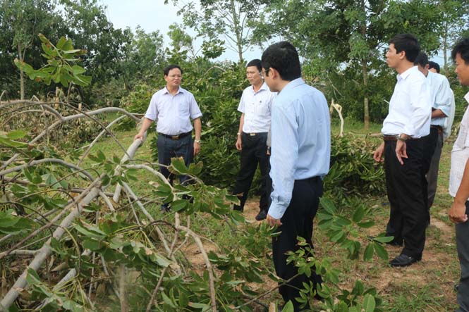 Đồng chí Lê Minh Ngân, TUV, Phó Chủ tịch UBND tỉnh kiểm tra công tác khắc phục thiệt hại do ảnh hưởng của hoàn lưu bão số 4 trên địa bàn huyện Bố Trạch