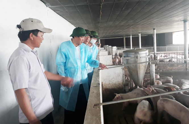 Đồng chí Bí thư Tỉnh ủy Hoàng Đăng Quang và đoàn công tác thăm trang trại nuôi lợn thịt của anh Trần Văn Phương ở xã Trung Trạch,