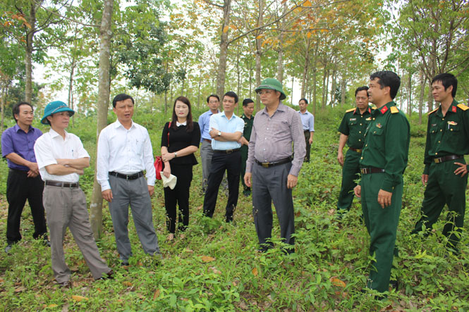 Đồng chí Lê Minh Ngân, Phó Chủ tịch UBND tỉnh kiểm tra thực địa công tác quản lý, bảo vệ rừng.