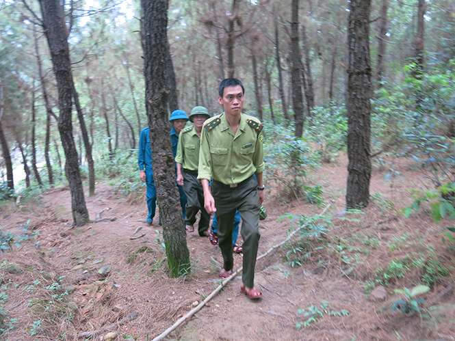  Lực lượng Kiểm lâm và tổ xung kích PCCC rừng xã Hồng Hóa tuần tra trong rừng thông.