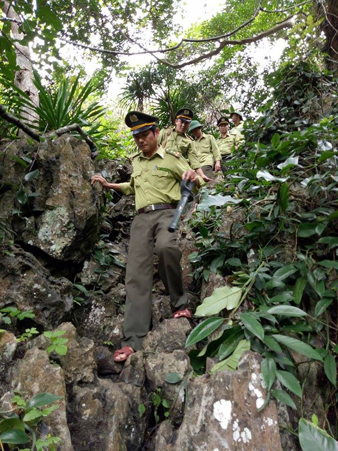 Lực lượng Kiểm lâm huyện Quảng Ninh thường xuyên tuần tra, canh gác các khu rừng trên địa bàn.