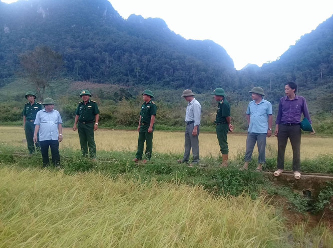 Đồng chí Đoàn Ngọc Lâm, Tỉnh ủy viên, Bí thư Huyện ủy Minh Hóa thăm cánh đồng lúa nước tại bản Mò O Ồ Ồ