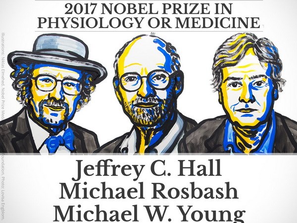 Ba nhà khoa học Mỹ giành giải Nobel Y học 2017. (Nguồn: Guardian)
