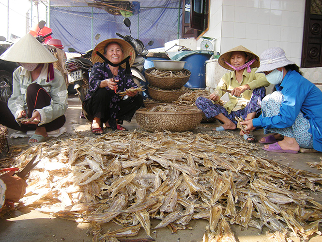 Các cơ sở chế biến hải sản của phường Quảng Phúc đã đông vui trở lại.