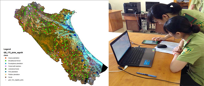 Cán bộ Chi cục Kiểm lâm tỉnh sử dụng phần mềm biến động rừng để phân tích, phát hiện các vùng rừng biến động.