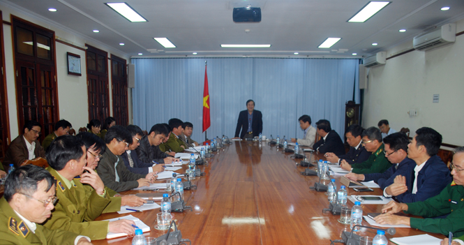Đồng chí Nguyễn Xuân Quang, Phó Chủ tịch Thường trực UBND tỉnh phát biểu tại buổi làm việc.