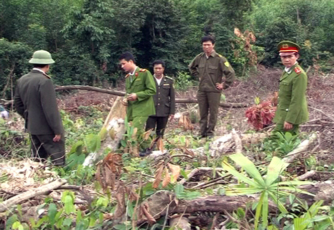Lực lượng chức năng huyện Bố Trạch kiểm tra, xử lý tình trạng lấn chiếm, khai thác đất lâm nghiệp trái phép.