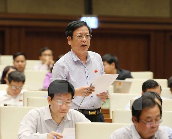 Đại biểu Quốc hội tỉnh Đắk Nông Nguyễn Trường Giang phát biểu ý kiến. (Ảnh: Phương Hoa/TTXVN)
