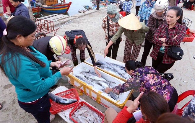 Hoạt động mua bán hải sản ở cảng cá Cửa Sót, xã Thạc Kim, huyện Lộc Hà, Hà Tĩnh. (Ảnh: Quang Quyết/TTXVN)