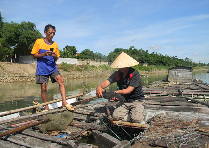 Một mô hình nuôi cá lăng chấm trên sông Gianh (đoạn qua địa bàn xã Châu Hóa, huyện Tuyên Hóa).