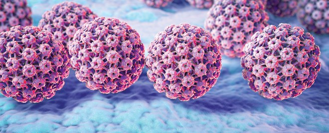 Virus HPV (Human papilloma virus) là một trong những tác nhân gây ra ung thư cổ tử cung ở nữ giới và các bệnh liên quan như sùi mào gà, ung thư hậu môn…