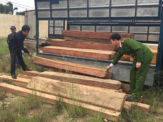 Lực lượng Cảnh sát môi trường kiểm tra số gỗ không có giấy tờ hợp lệ.