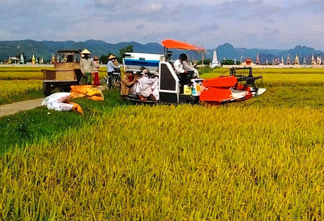  Nông dân thị xã Ba Đồn đưa cơ giới vào đồng ruộng nhằm nâng cao năng suất và hiệu quả kinh tế.