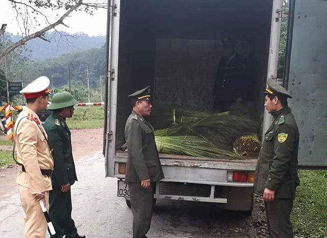 Đội liên ngành huyện Quảng Ninh cơ động tuần tra, kiểm tra trên tuyến đường 11.