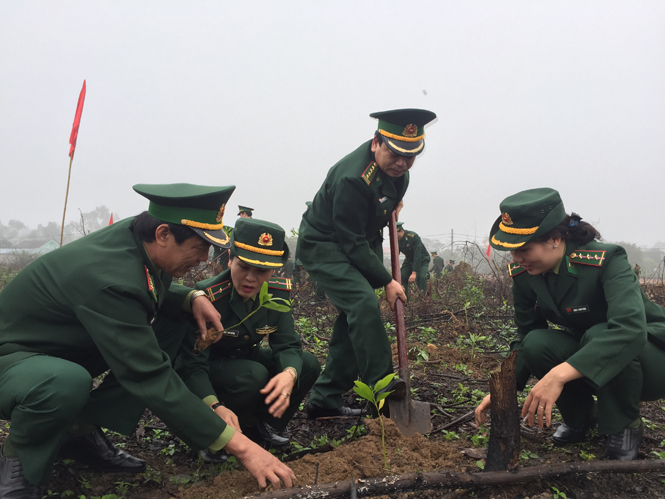 Thủ trưởng Bộ Chỉ huy BĐBP Quảng Bình tham gia Tết trồng cây cùng CBCS