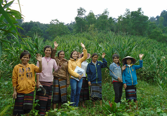 Nhóm phụ nữ tham gia mô hình tiểu dự án trồng đót ở bản Khe Cát do RDPR chủ trì và hỗ trợ.