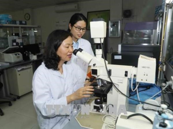 Phó giáo sư Trần Vân Khánh (ngồi bên phải) nghiên cứu trong phòng thí nghiệm cùng đồng nghiệp. (Ảnh: Phương Hoa/TTXVN)