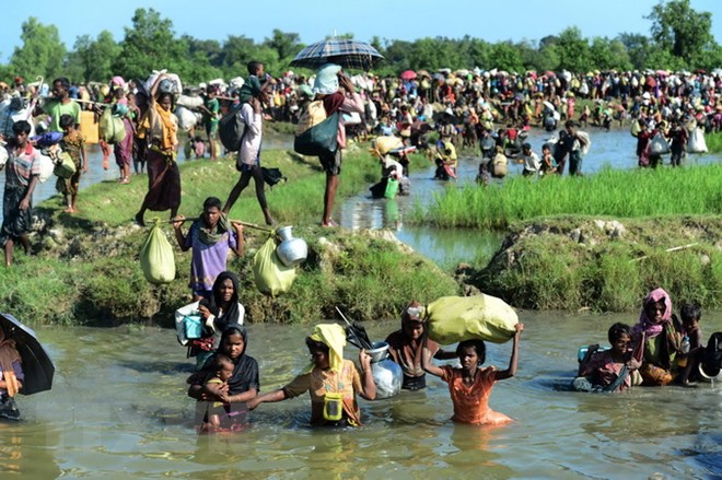 Người tị nạn Rohingya chạy trốn xung đột từ Rakhine (Myanmar) tới khu vực Palongkhali gần Ukhia, Bangladesh ngày 16-10-2017. (Nguồn: AFP/TTXVN)