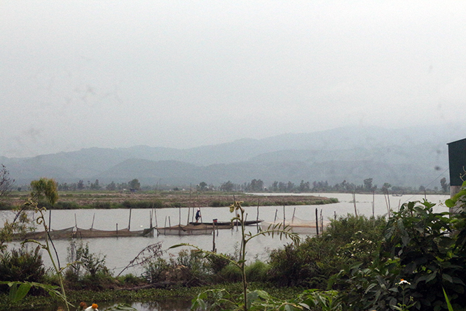 Nông dân xã Võ Ninh chú trọng phát triển nuôi trồng thủy sản.