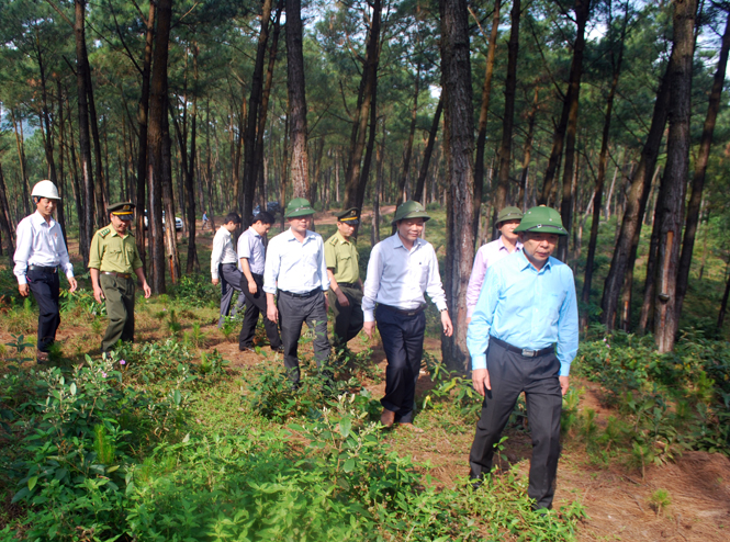 Đồng chí Nguyễn Hữu Hoài, Chủ tịch UBND tỉnh kiểm tra công tác phòng chống cháy rừng tại Lâm trường Vĩnh Long.
