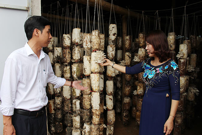 HTX sản xuất nấm sạch và kinh doanh nông nghiệp Tuấn Linh (xã Sơn Lộc)- tập thể điển hình trong học tập và làm theo Bác Hồ.