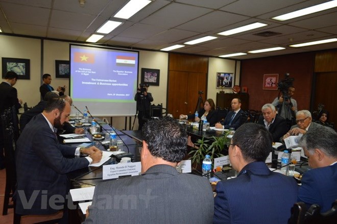 Quan hệ Việt Nam-Ai Cập sẽ bước sang giai đoạn phát triển mới