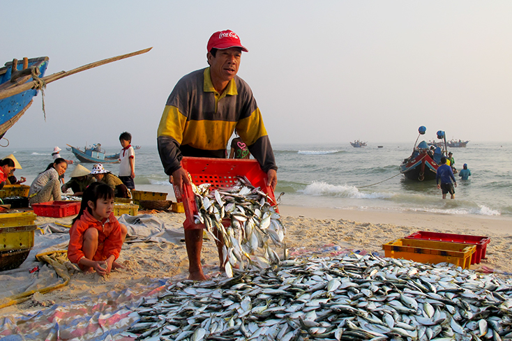Khu vực biển gần bờ Quảng Bình nổi tiếng với nhiều loại hải sản ngon.
