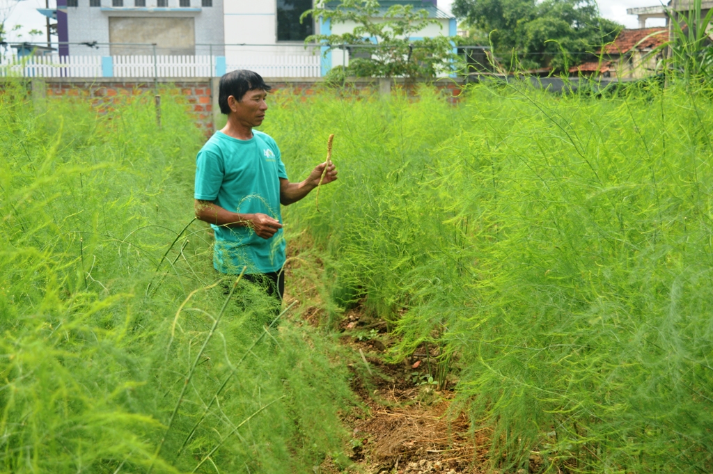 Quảng Ninh: Đưa tiến bộ khoa học kỹ thuật đến với nông dân