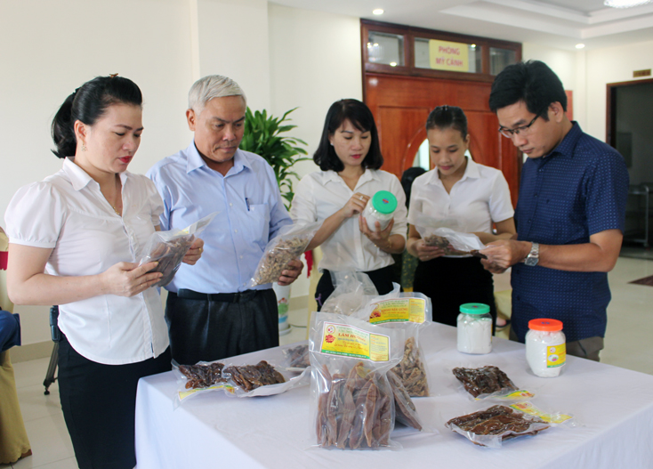 Hội thảo tiềm năng phát triển cây khoai lang tại Quảng Bình