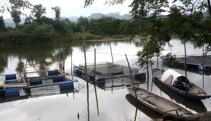 Quảng Ninh: Sản lượng khai thác và nuôi trồng thủy sản tăng 13,53%