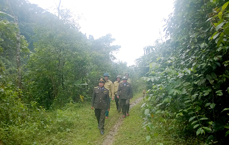 Lực lượng Kiểm lâm Lệ Thủy phối hợp tuần tra bảo vệ rừng ở khu vực Động Châu-khe Nước Trong.