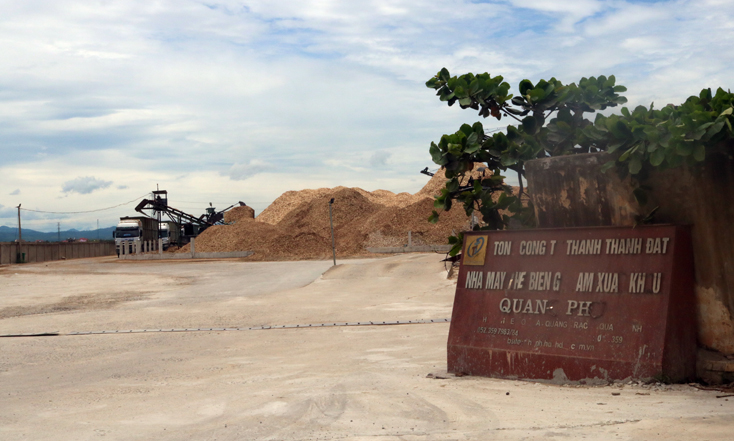 Núi gỗ dăm tại Nhà máy chế biến xuất khẩu gỗ dăm Quảng Phú (thuộc Công ty TNHH Thanh Thành Đạt)  