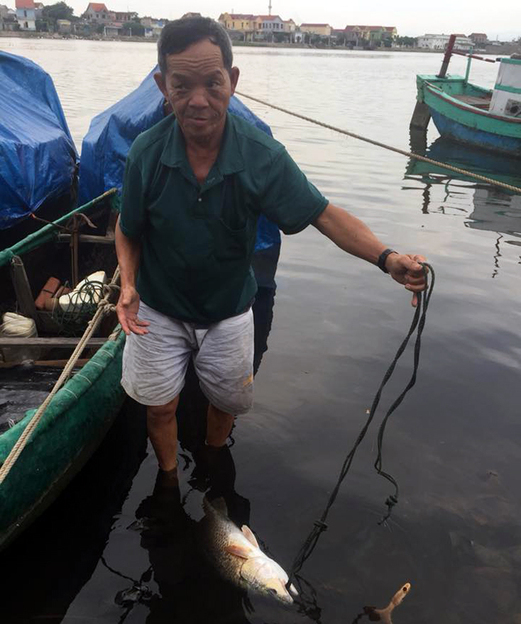Ngư dân Nguyễn Lộc bắt được con cá, nghi là loài cá sủ vàng quý hiếm.