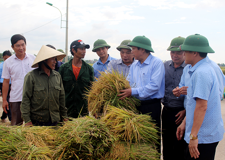 Đồng chí Bí thư Tỉnh uỷ Hoàng Đăng Quang kiểm tra tình hình sản xuất nông nghiệp tại huyện Lệ Thuỷ.