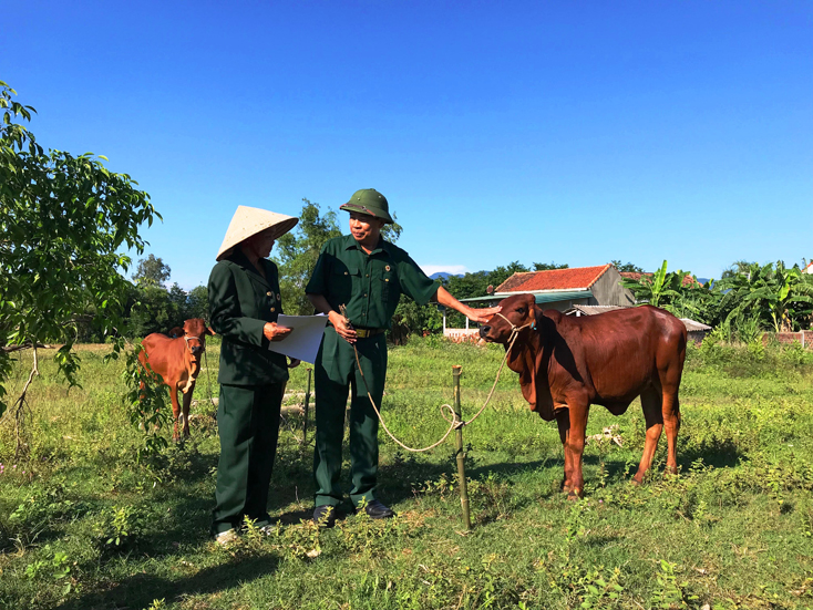    Ông Đoàn Lương Khuệ, Chủ tịch Hội CCB tỉnh trao tặng bò giống cho hội viên CCB nghèo huyện Bố Trạch