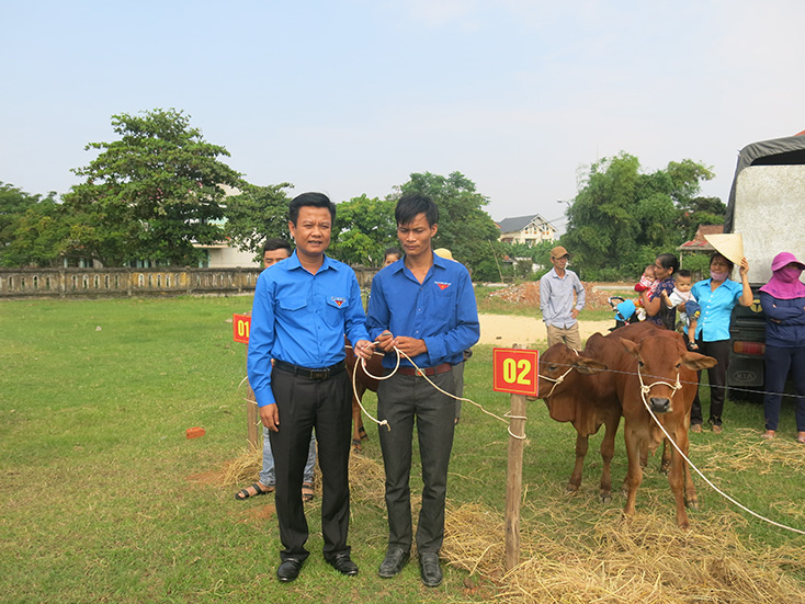 Lãnh đạo Tỉnh đoàn trao bò giống cho đoàn viên thanh niên