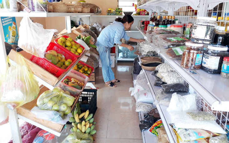 Một số mặt hàng rau, củ của cơ sở sản xuất An Nông (xã Hòa Trạch)  được người dân tin dùng.