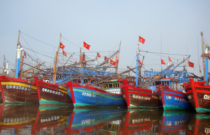 Nhờ các chính sách hỗ trợ, khuyến khích, các đội tàu đánh bắt xa bờ của Quảng Bình hoạt động rất hiệu quả.