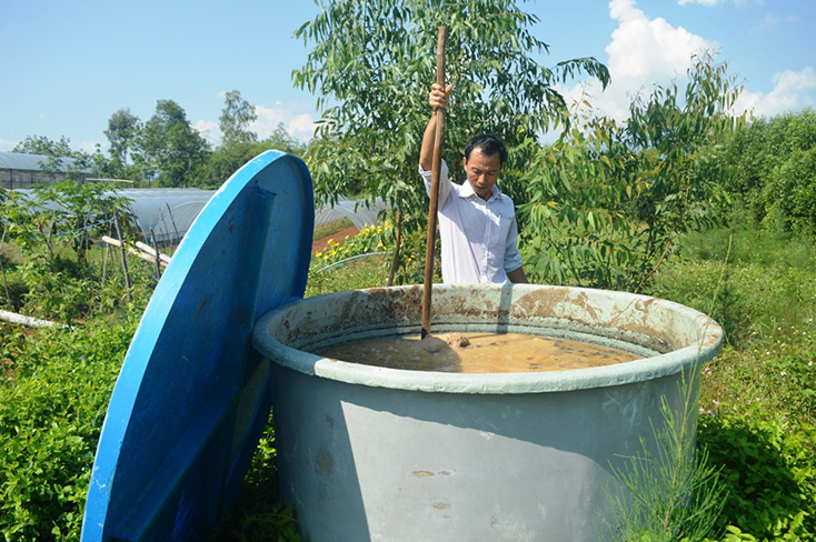  Sử dụng đạm thực vật ủ từ bã đậu lạc để thay thế đạm vô cơ trong sản xuất rau tại trang trại An Nông. 
