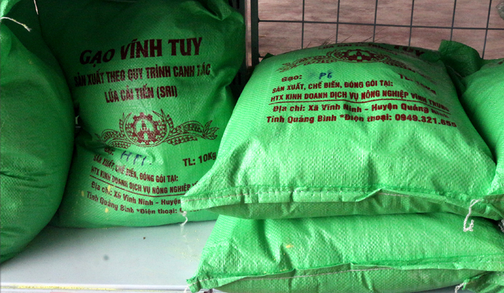 Gạo Vĩnh Tuy (xã Vĩnh Ninh) được định hướng sản xuất theo chuỗi giá trị.